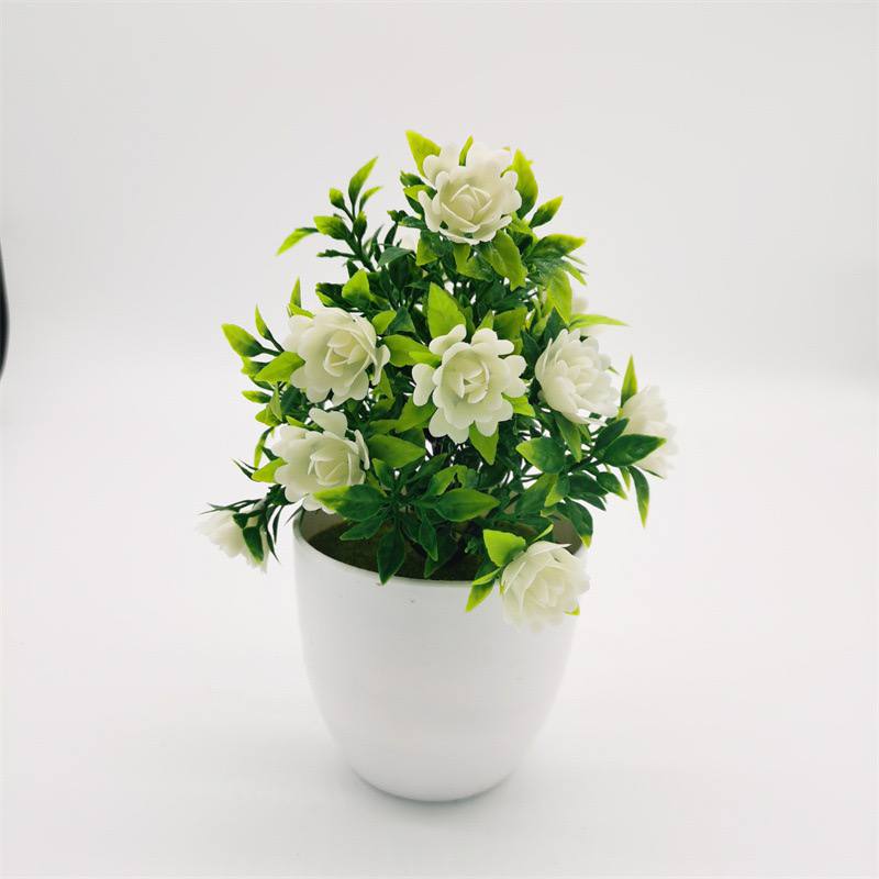 Cute platted flower