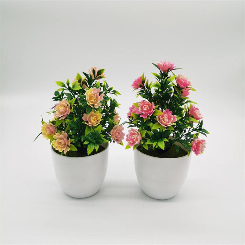 Cute platted flower