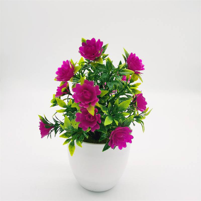 Cute platted flower
