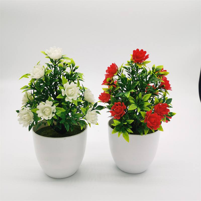 Cute platted flower