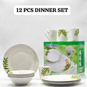 12 pieces dinner sets